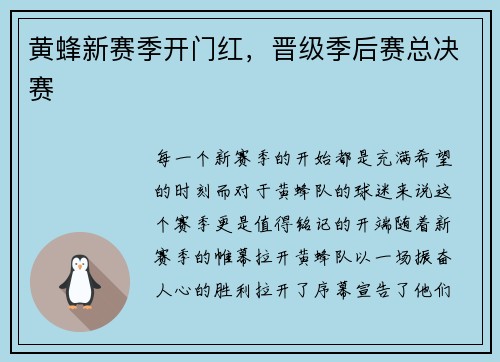 黄蜂新赛季开门红，晋级季后赛总决赛